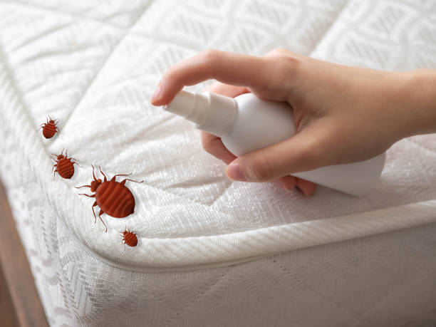 Best Best Pest Control Companies  in Pine Grove Mills, PA